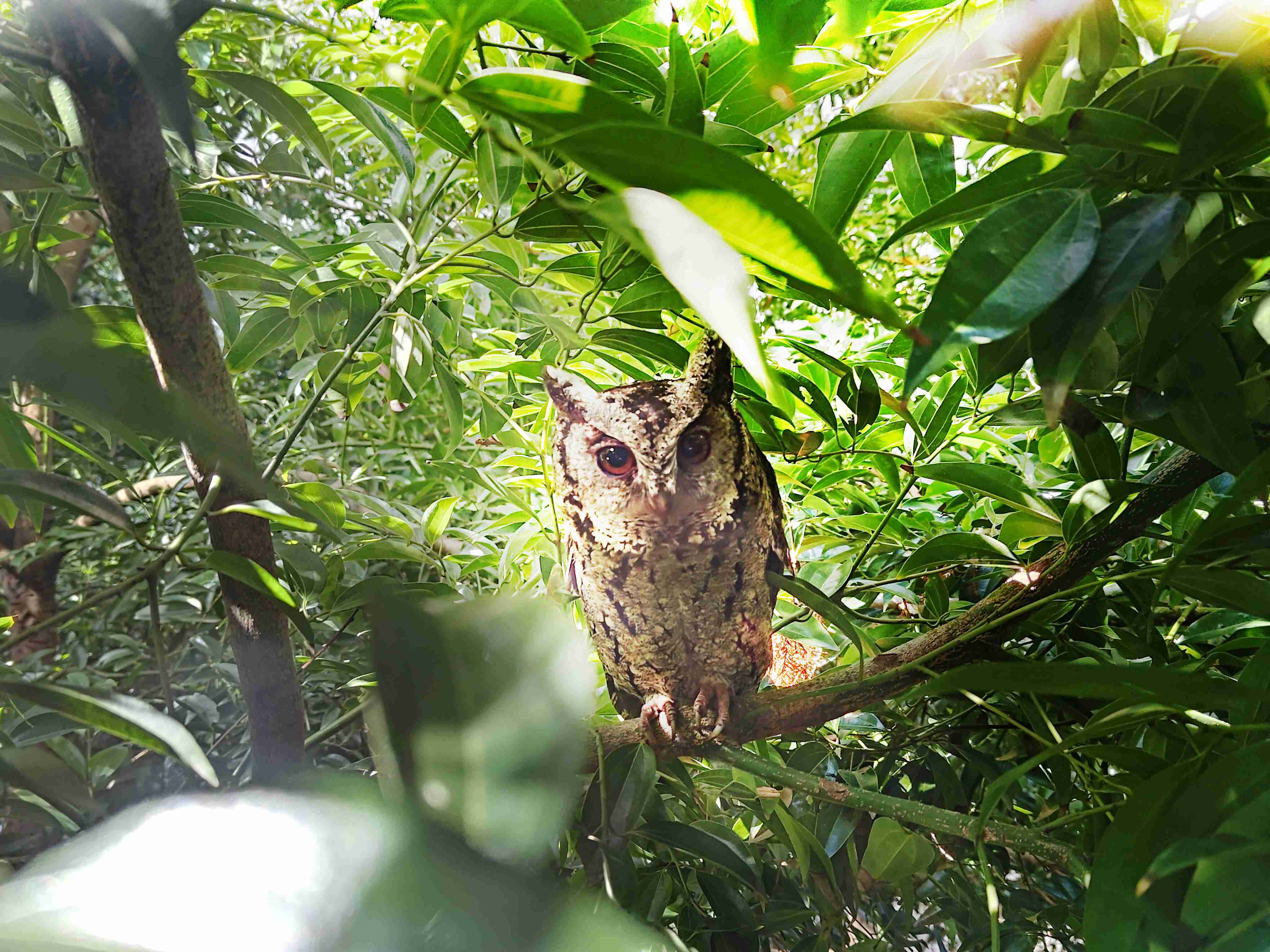 尊时凯龙致力提倡净零绿生活，，16年以来在全球各厂区植树逾百万棵，，，，造就各厂区树木蔚然成林，，犹如森林工厂，，成为许多生物的栖息地